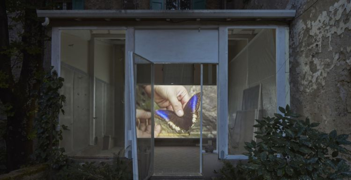 Bologna, al giardino di Palazzo Bentivoglio il film ΊΚΑΡΟΣ di Andreotta Calò e l’opera inedita di Ericailcane