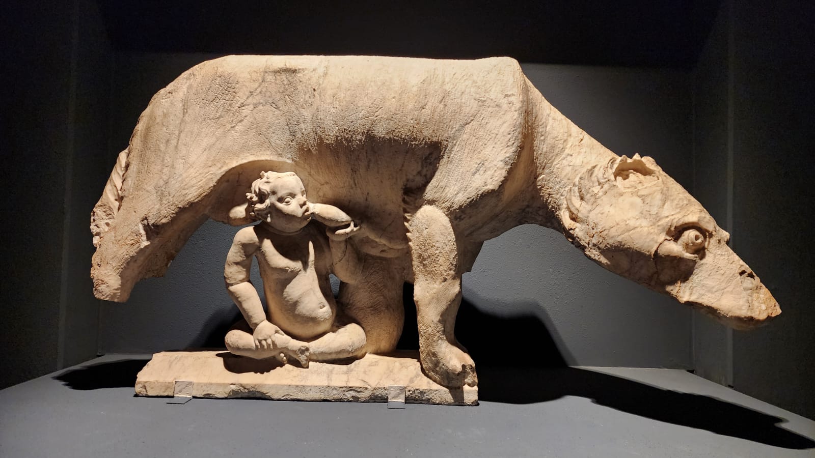 Giovanni Pisano, Louve allaitant des jumeaux (XIIIe siècle ; Sienne, Museo dell'Opera del Duomo)