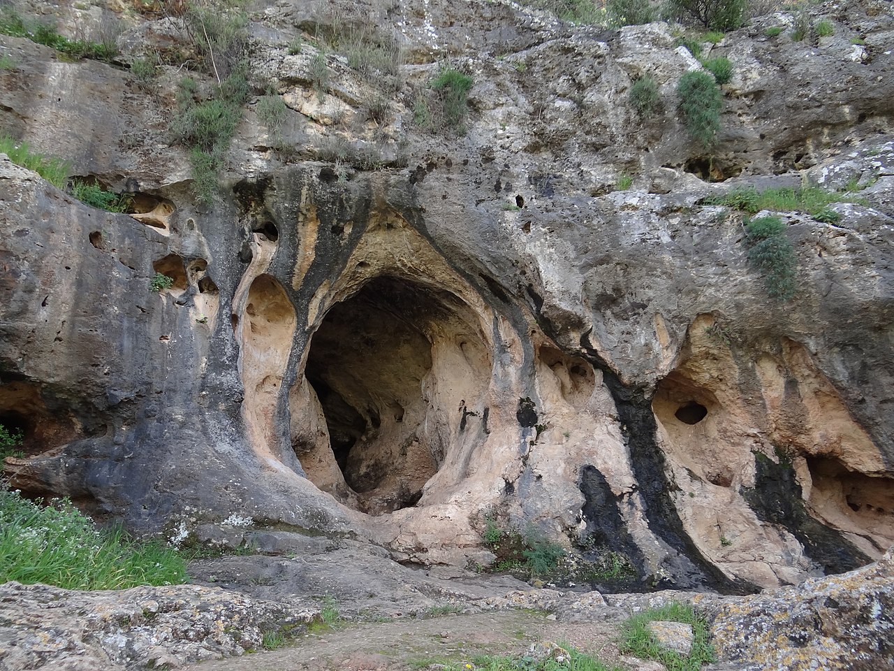 Scoperto sul Monte Carmelo il più antico incrocio noto tra Homo Sapiens e Neanderthal