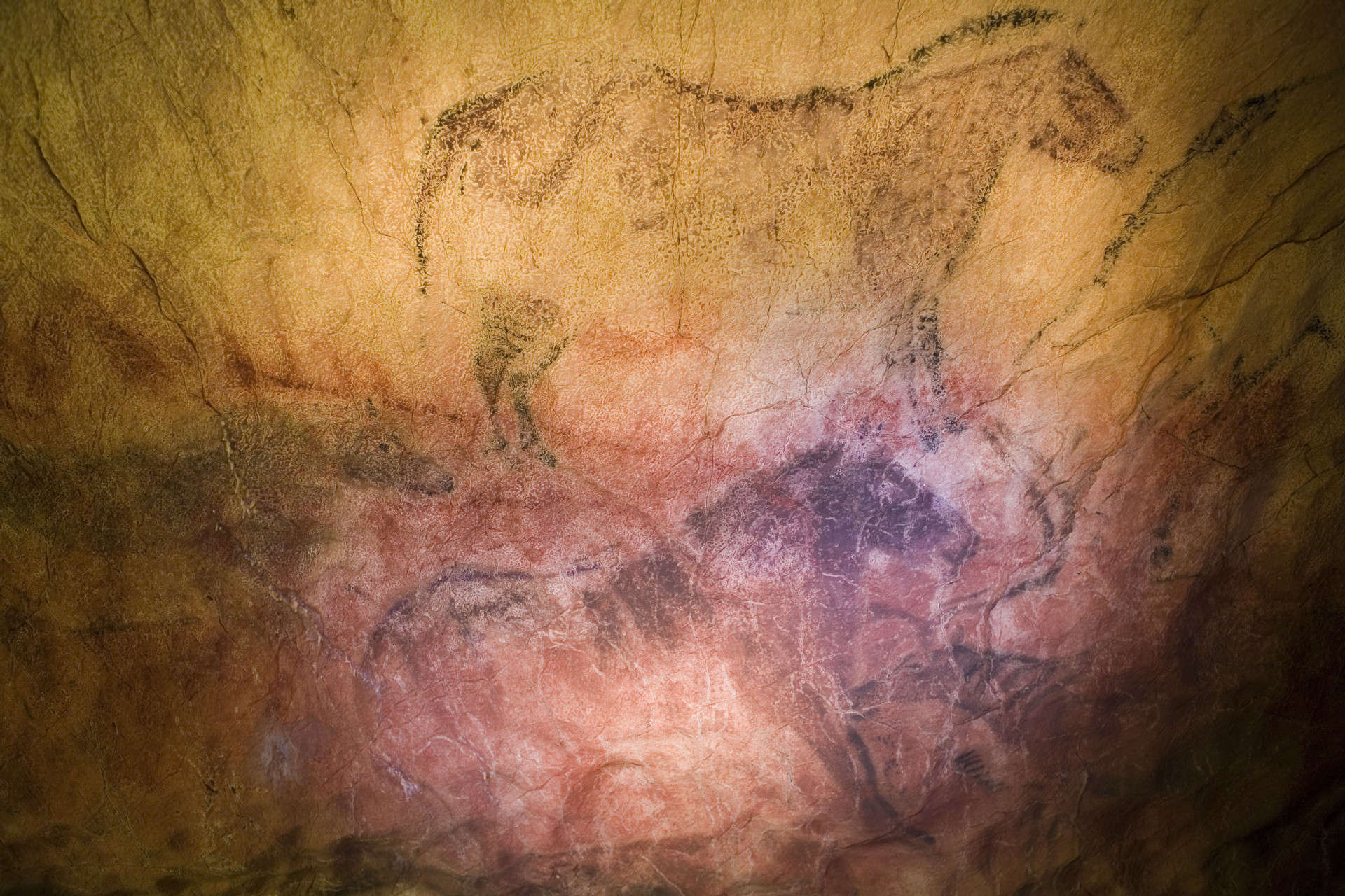 Die Höhle des Titus Bustillo