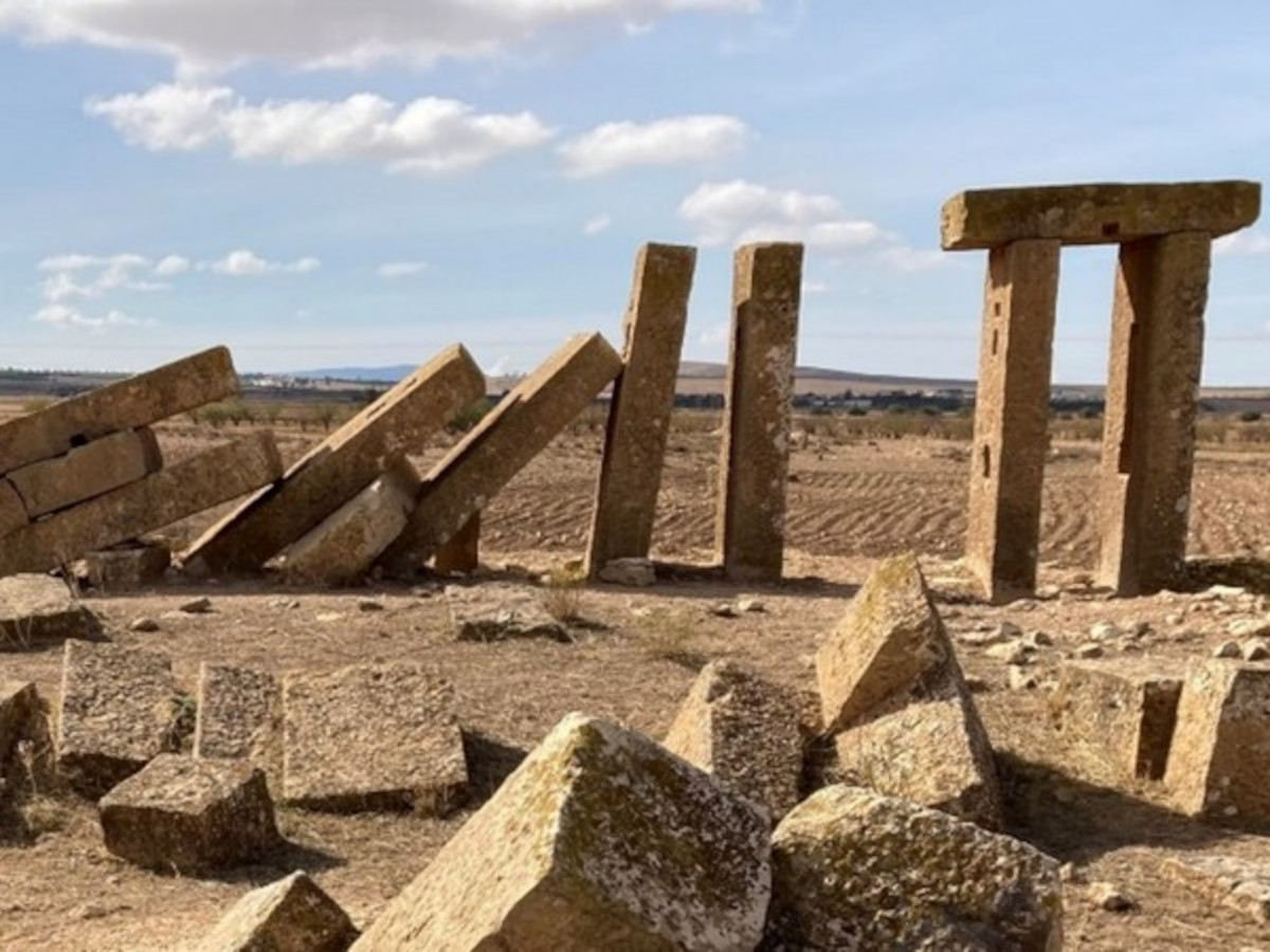 Tunisia, scoperto il secondo frantoio romano più grande dell’Impero: Ca' Foscari co-dirige la missione