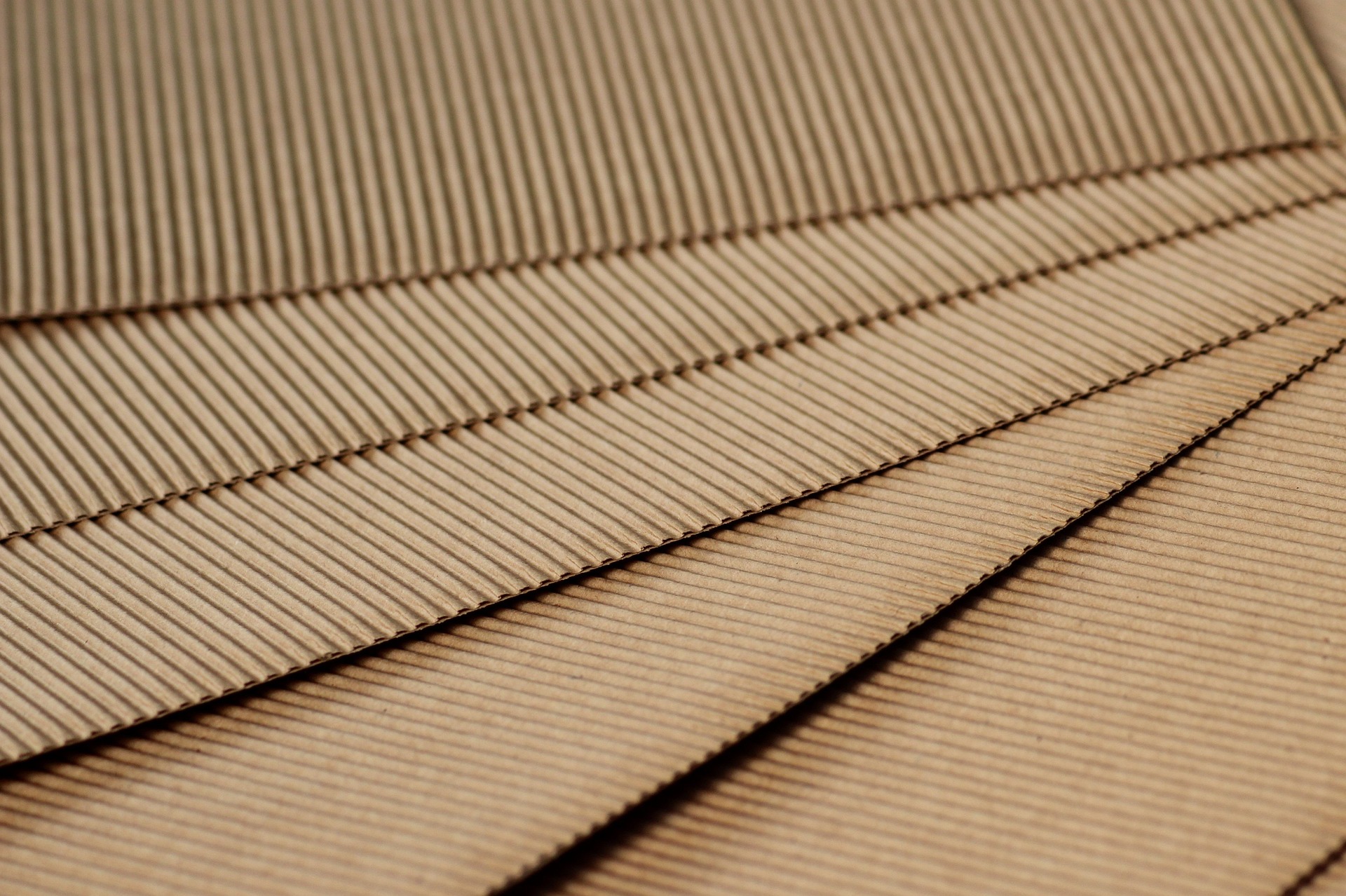 Envases sostenibles y artesanía: seminario web gratuito el 4 de diciembre en Zoom. Foto: Pixabay - _Alicja_.