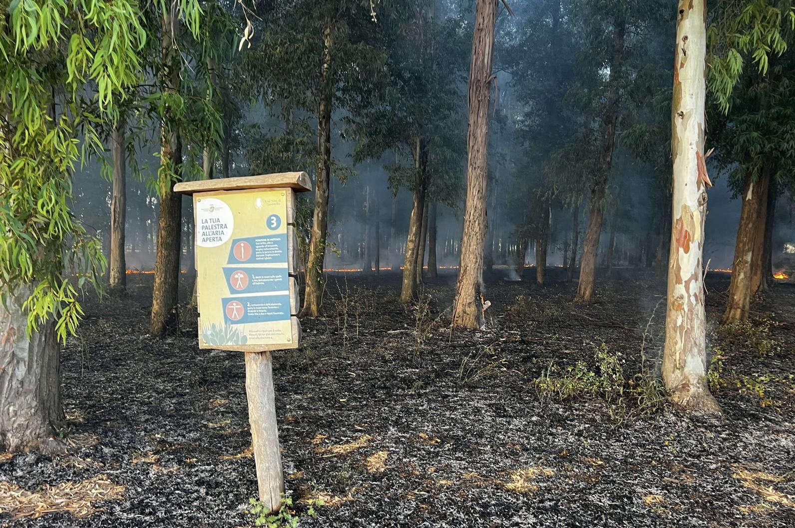 Incendio en el Real Sitio de Carditello