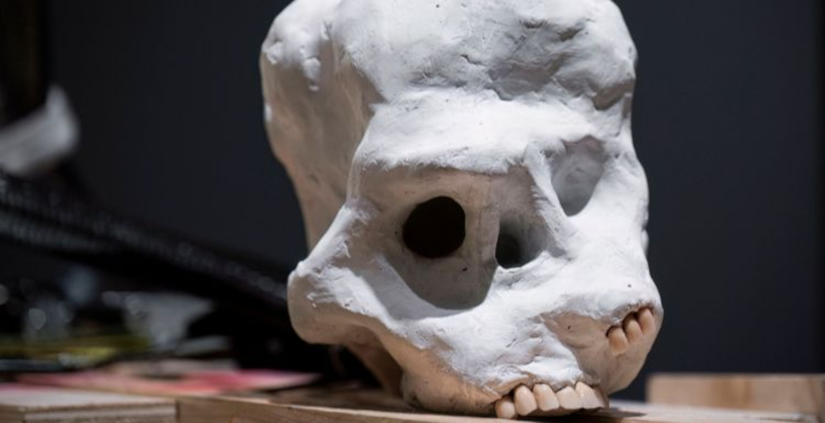 Jacopo Benassi in mostra a Genova: un’indagine sul corpo della fotografia e i suoi confini