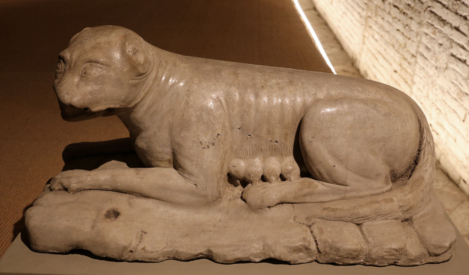 Jacopo della quercia, Lupa Senese (1414-1418) Photo : Francesco Bini