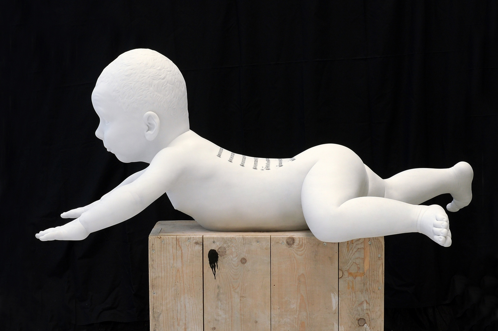 Treviso, alla 21Gallery in mostra gli ultimi due cicli della produzione di Jan Fabre