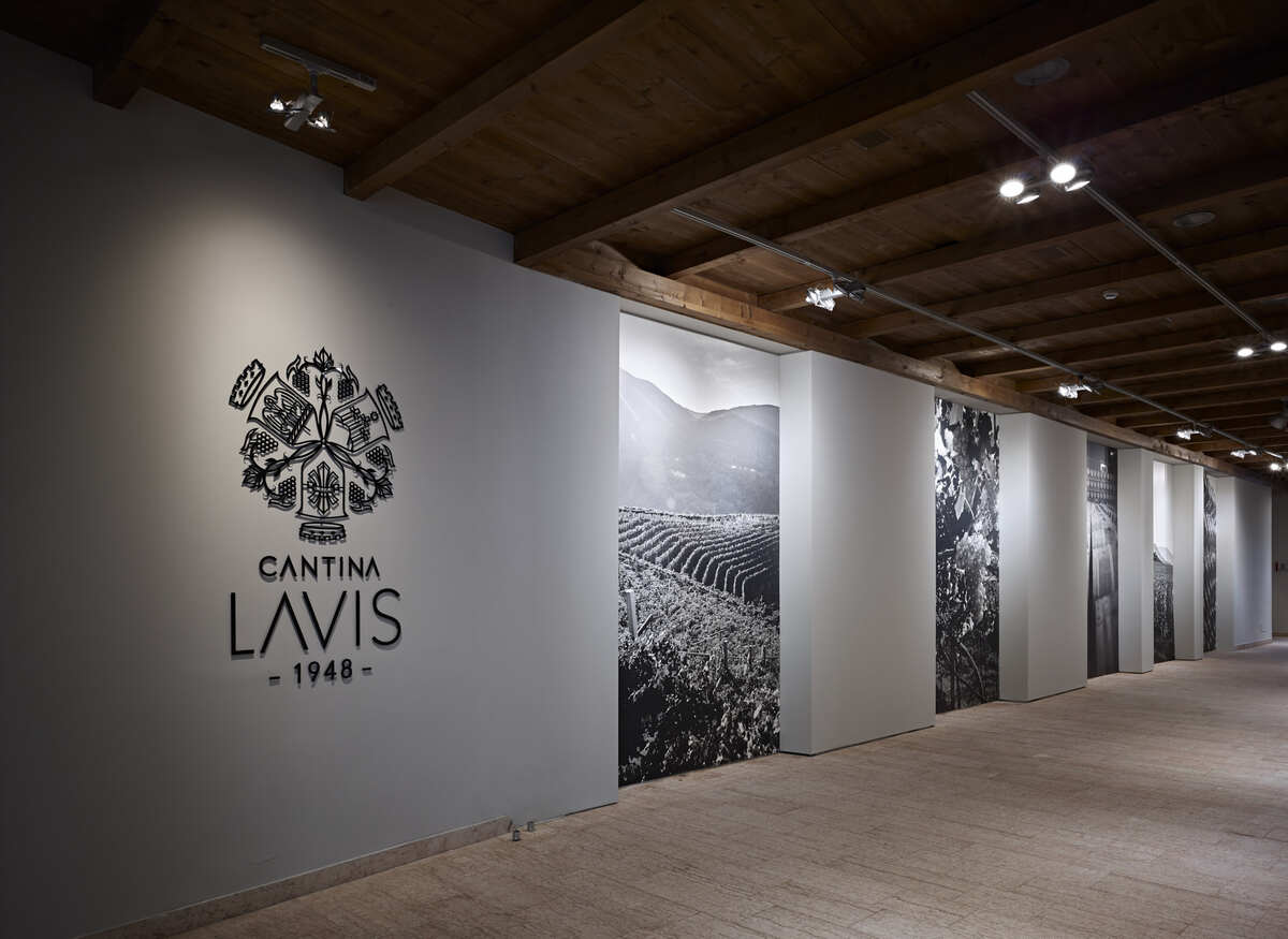 Bodega La Vis