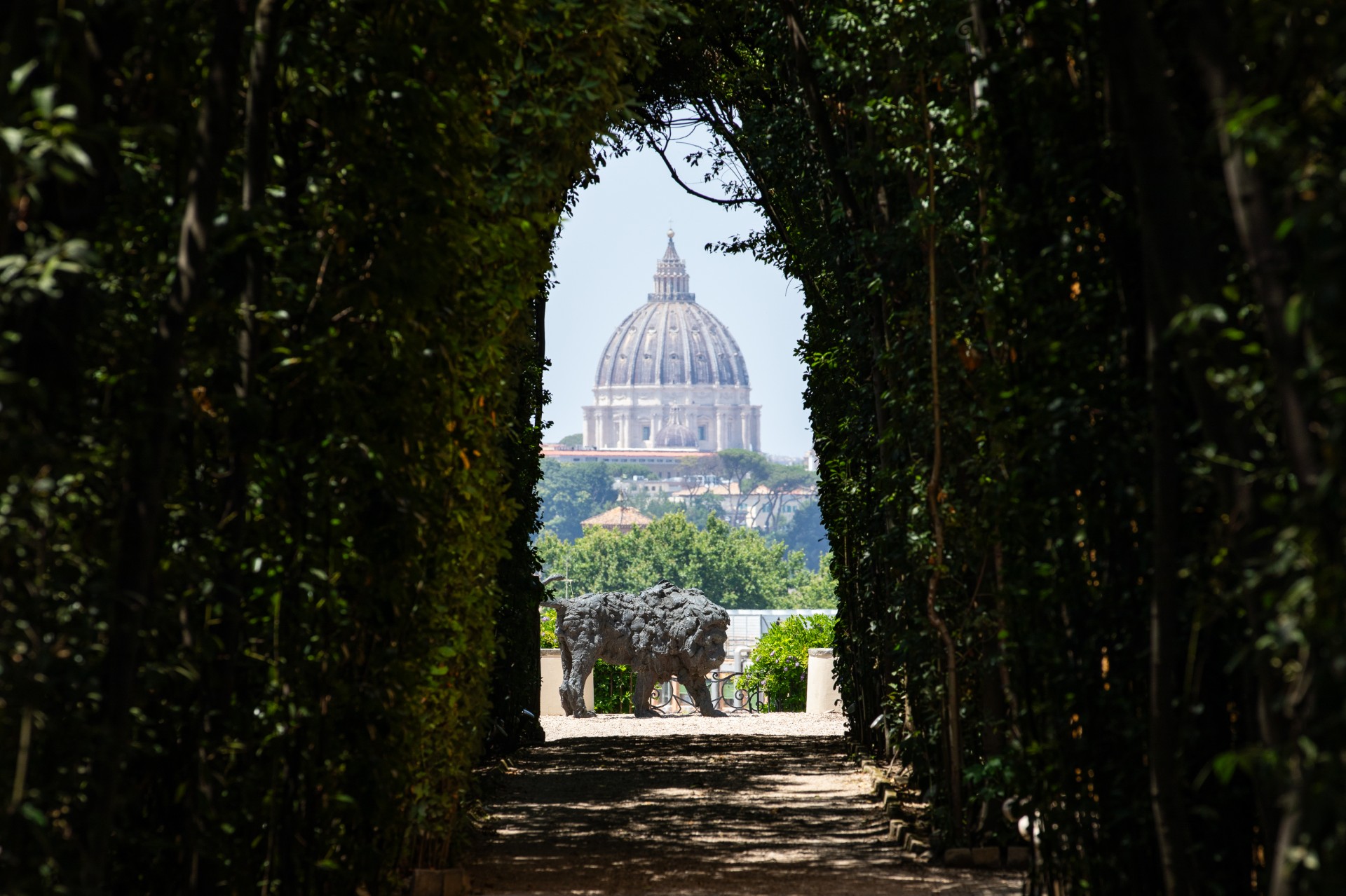 Un leone arriva dentro uno dei panorami più famosi di Roma. È un omaggio al papa