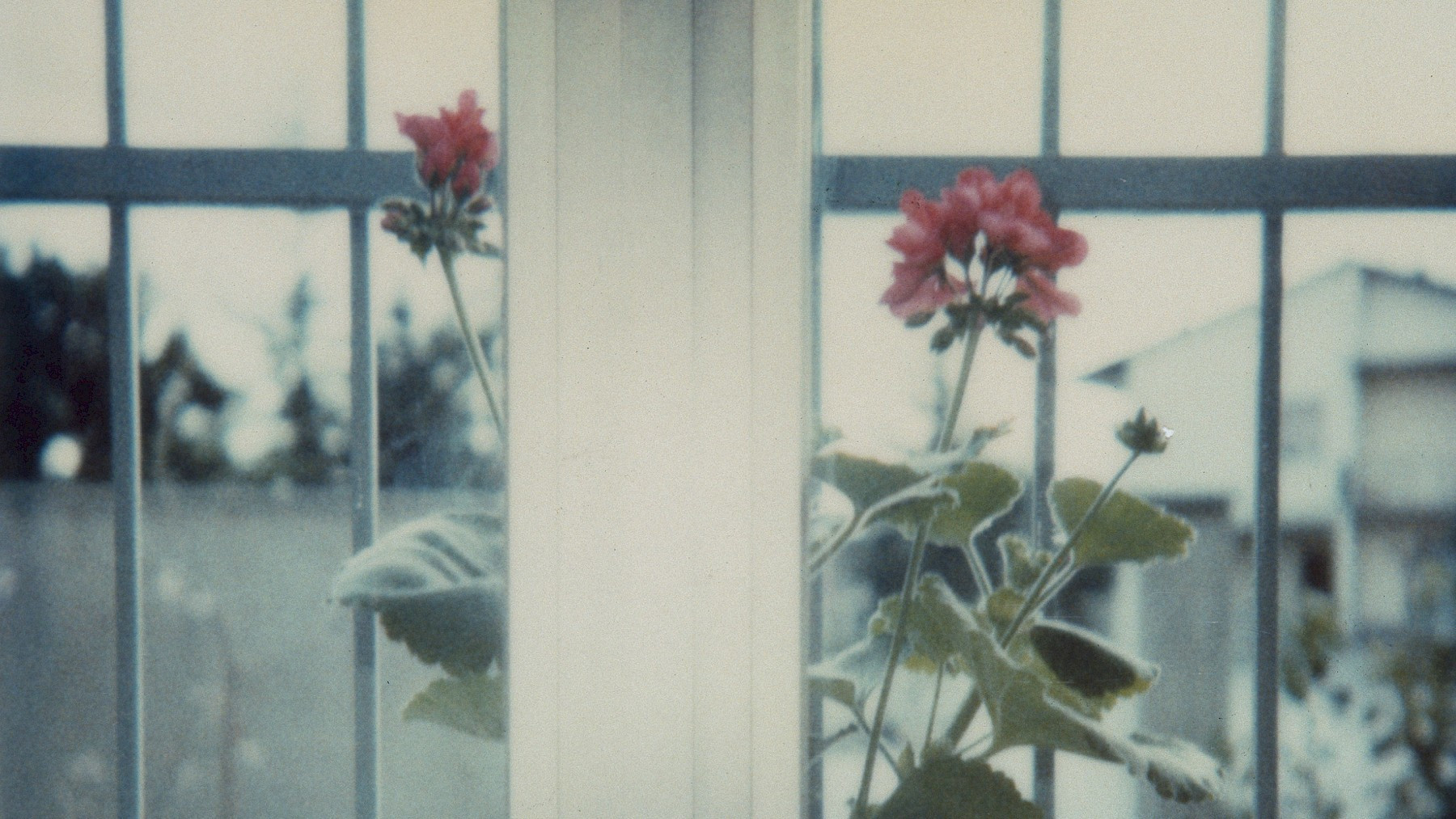 Al Centro Pecci di Prato la prima mostra in Italia interamente dedicata alla produzione su polaroid di Ghirri