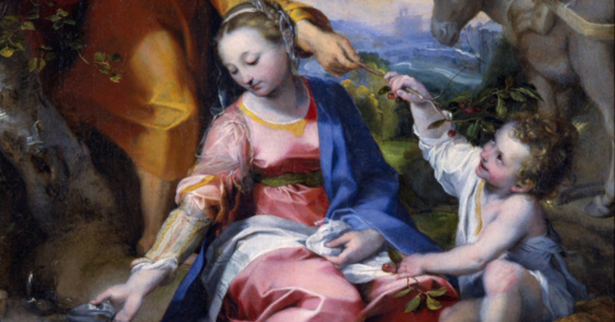La Madonna delle ciliegie di Barocci dai Musei Vaticani arriva per il Natale a Torino, alle Gallerie d'Italia