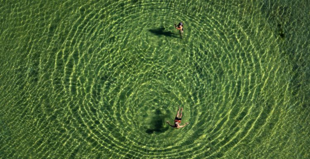 Trentino Unexpected al MUDEC: cinque fotografi raccontano il territorio