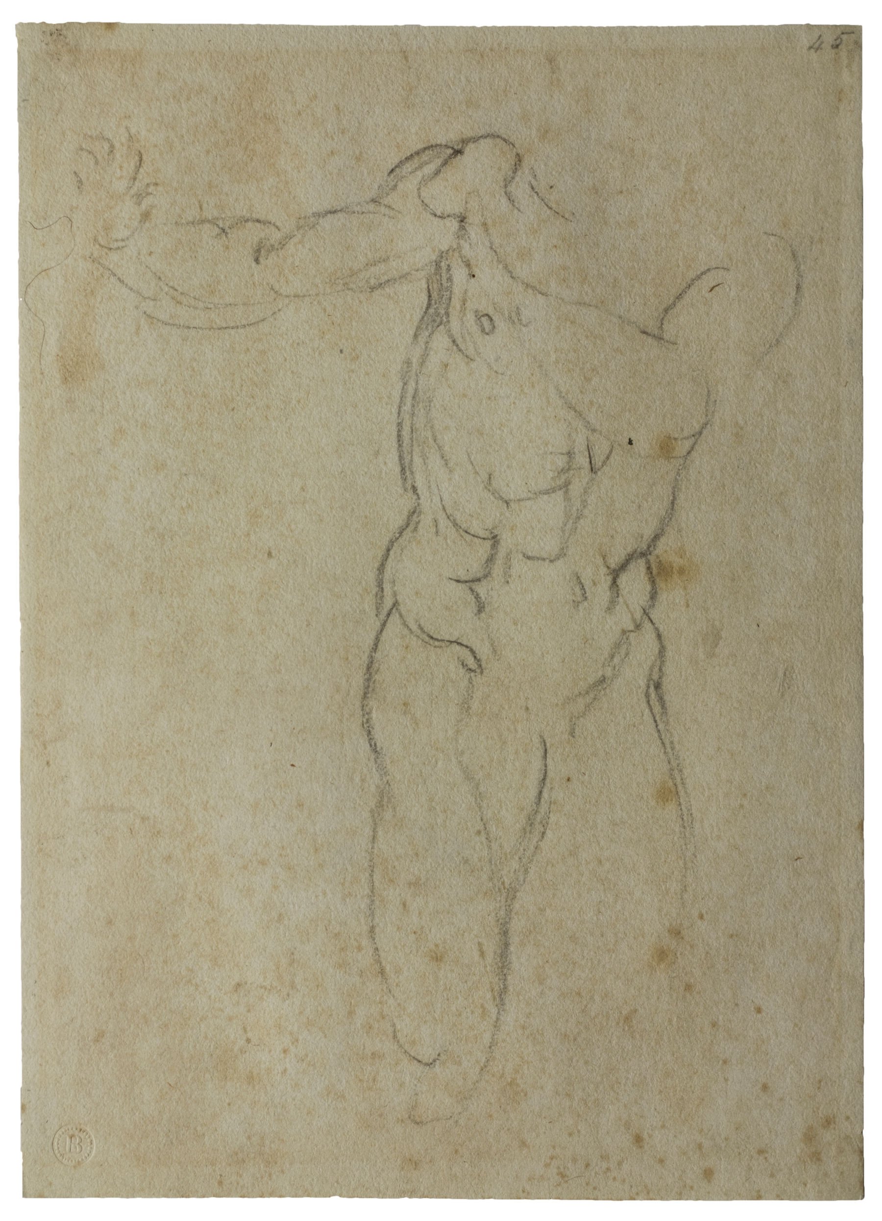 Michelangelo, Studie für die Figur des Adam (Florenz, Casa Buonarroti)