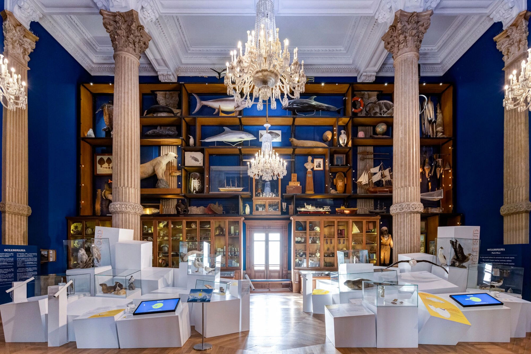 Intérieur du Musée océanographique. Photo : ©Bvergely