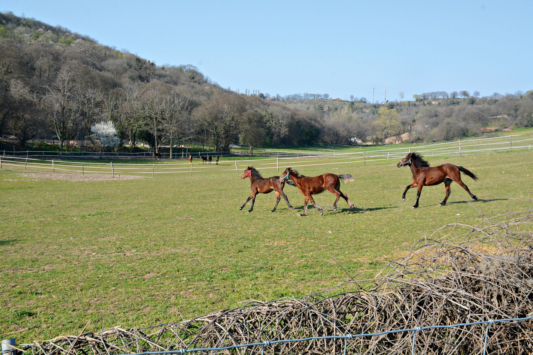 Die Landschaft von Cavriana