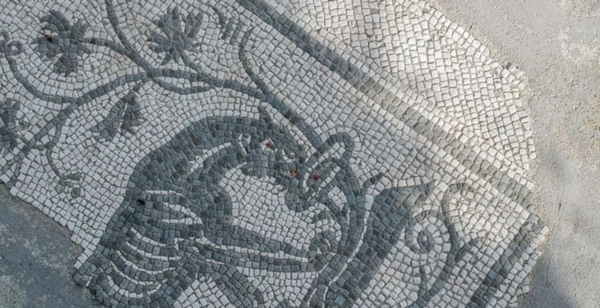 Altino (Venezia), riemerge il centro romano della città: al via nuovi scavi nel foro