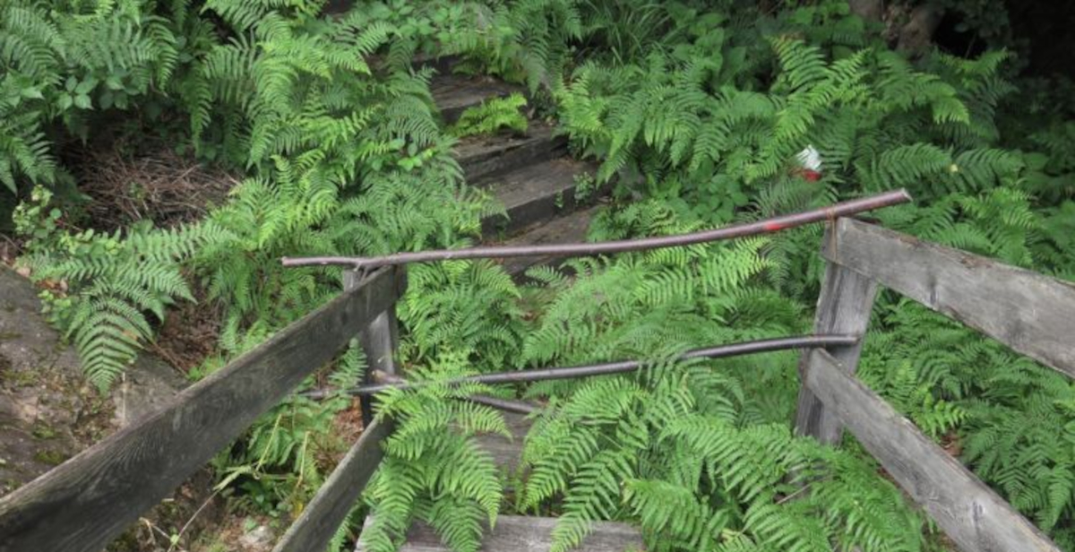 Il Parco archeologico di Sellero a Brescia di nuovo abbandonato dopo un anno di rinascita