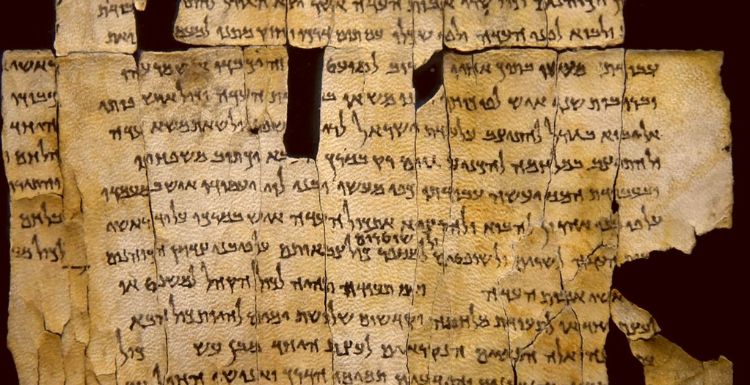 L'intelligenza artificiale riscrive la cronologia dei Rotoli del Mar Morto: sono più antichi del previsto