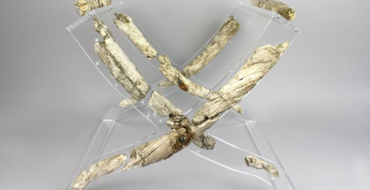 A Bologna restaurato il prezioso sgabello etrusco d'avorio