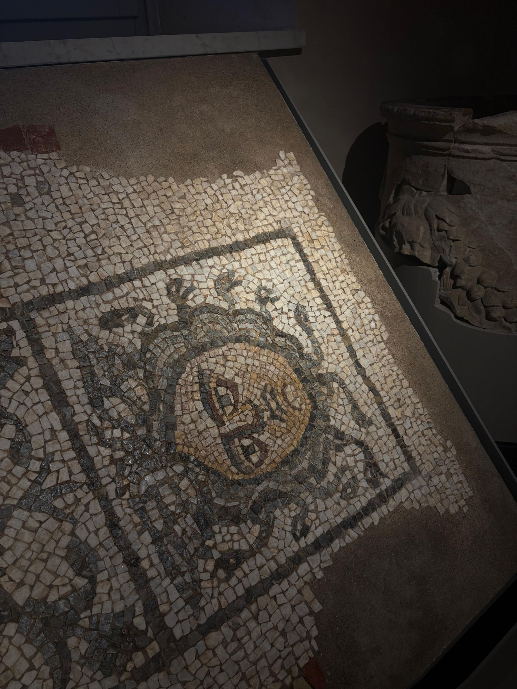 Die Exponate im neuen Archäologischen Nationalmuseum von Luni