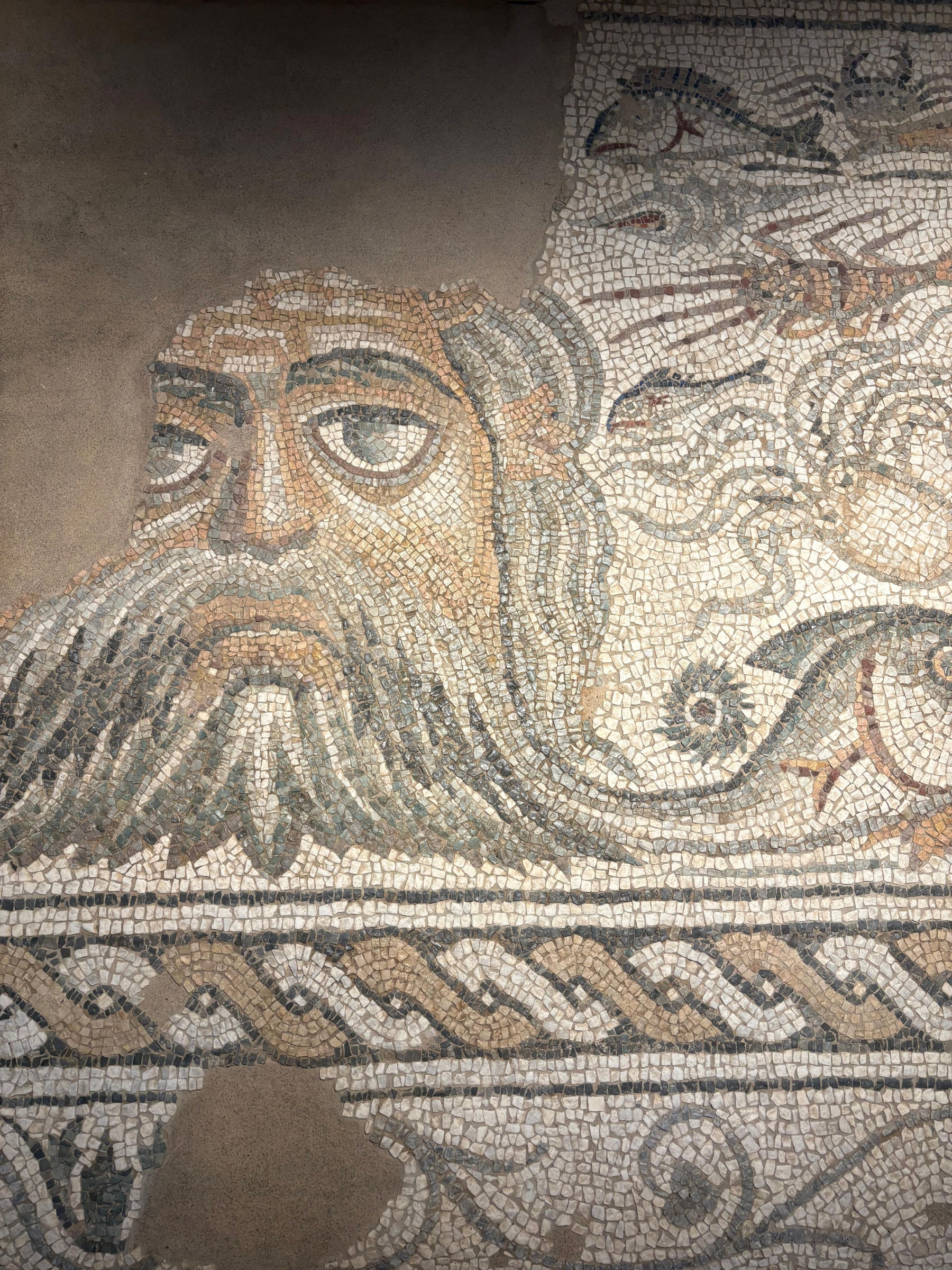 Die Exponate im neuen Archäologischen Nationalmuseum von Luni