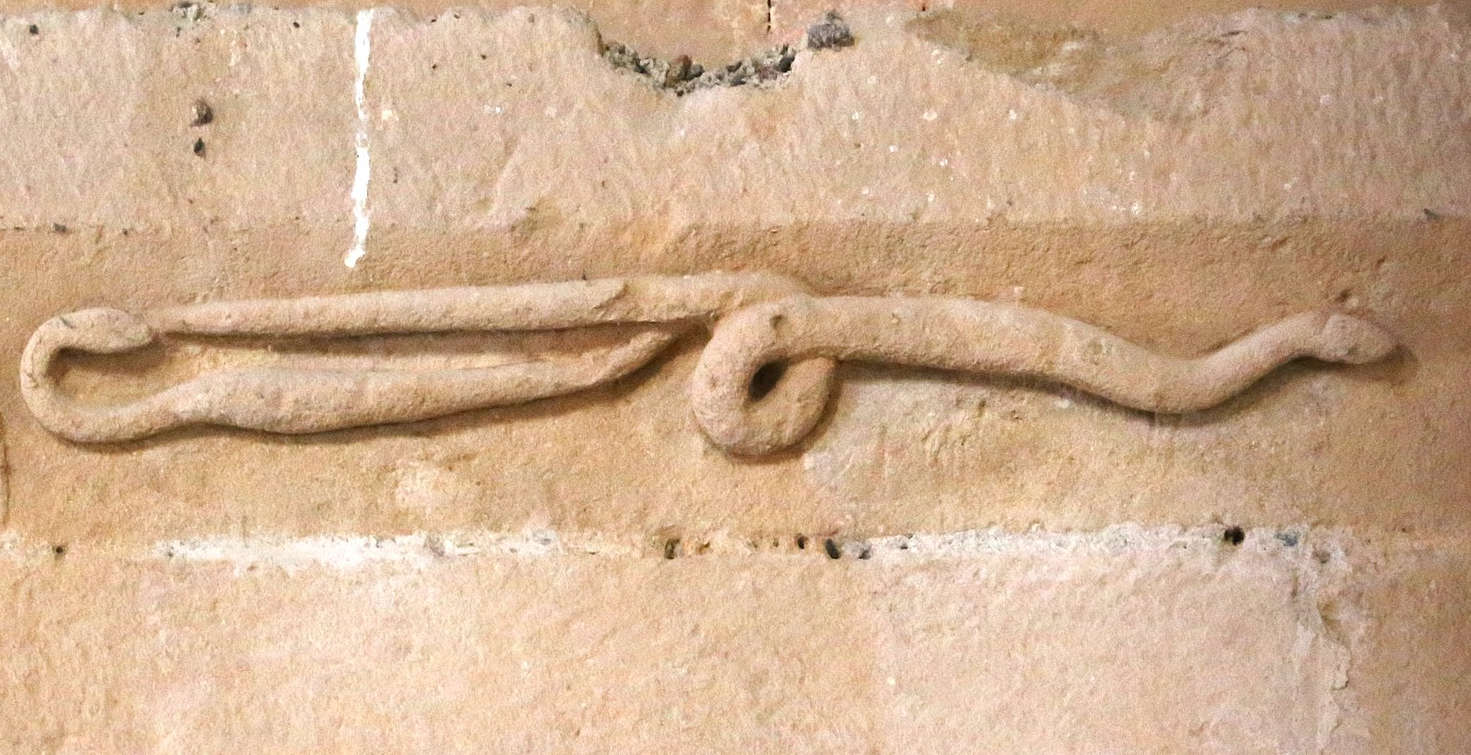 Il Serpente Regolo, il piccolo re che striscia in Toscana tra folklore e arte