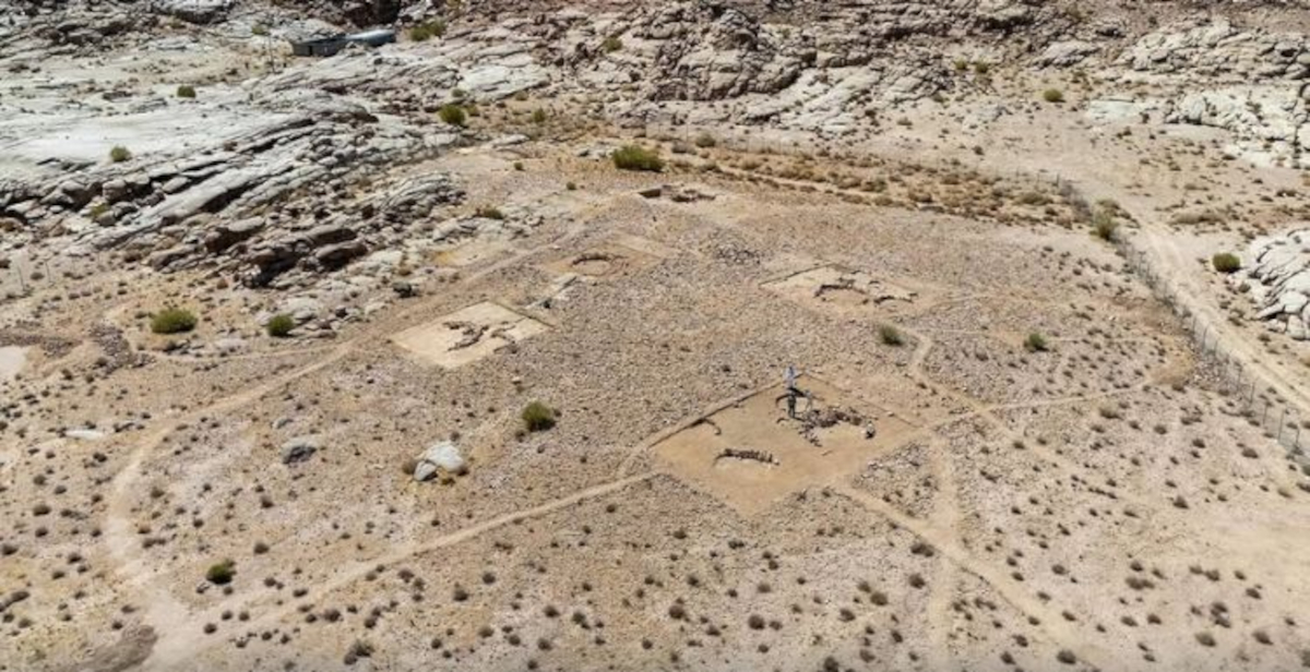 Arabia Saudita, scoperto il più antico insediamento umano della Penisola Arabica