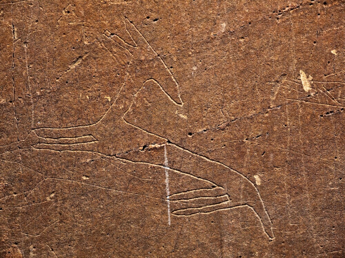 Yacimientos de arte rupestre prehistórico en el Valle del Côa y Siega Verde (Portugal, España). Foto: Vincent Long © OUR PLACE The World Heritage Collection