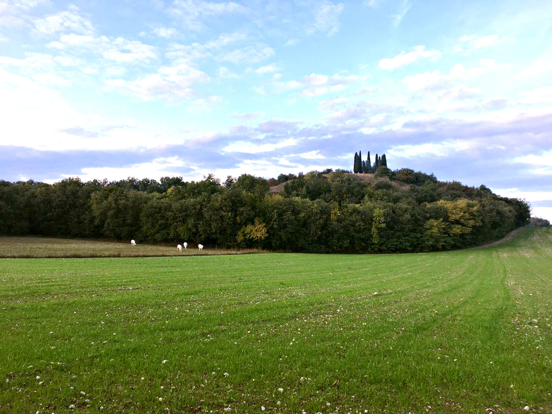 Die Hügellandschaft von Solferino
