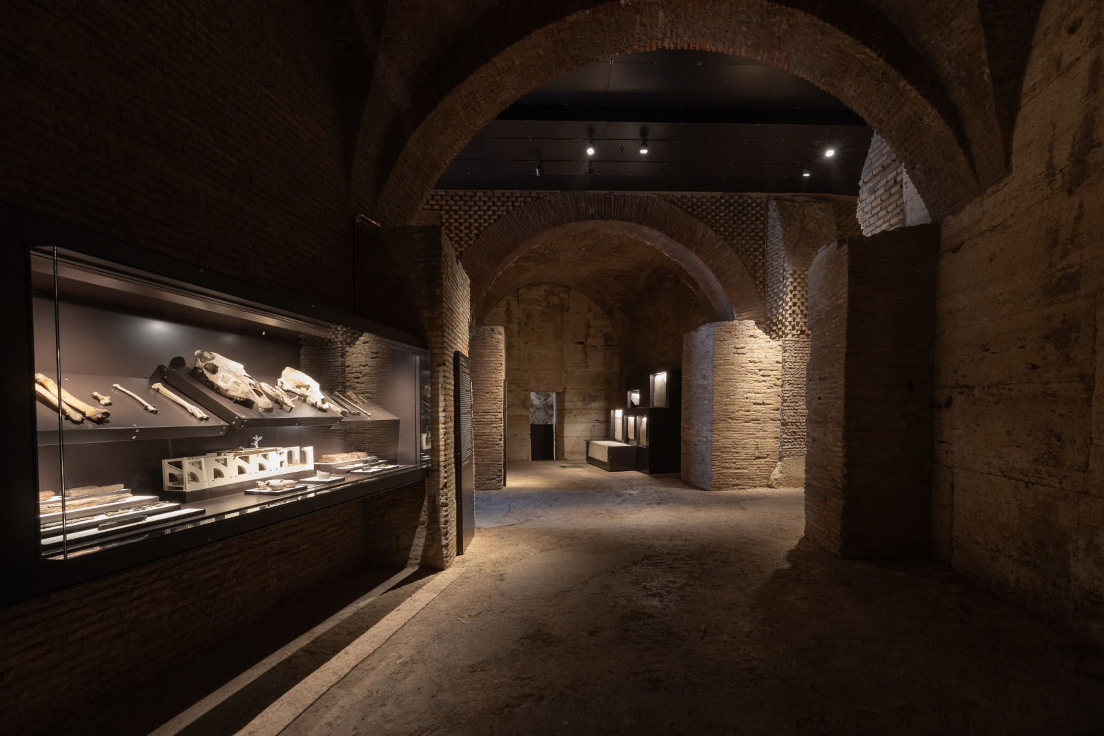 Chi erano e cosa facevano gli spettatori al Colosseo? Inaugurata negli ipogei una nuova sezione museale