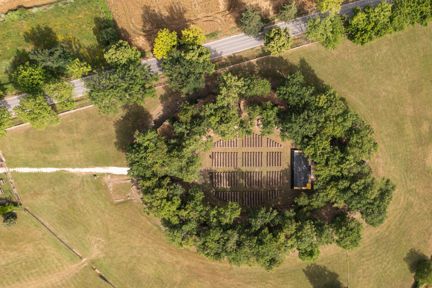 Macerata, il Parco Archeologico di Urbs Salvia apre per la prima volta i quartieri delle strade basolate
