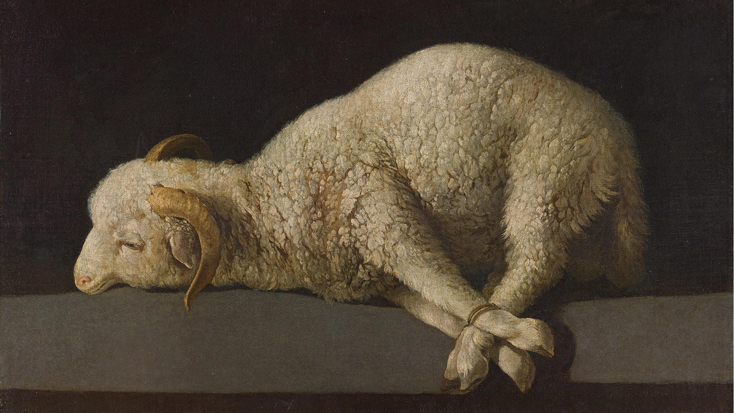 Alla National Gallery di Londra la prima grande monografica nel Regno Unito dedicata a Francisco de Zurbarán