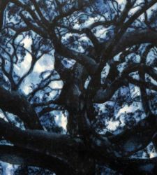 Andrea Chiesi investigates the essence of places in "Dharmata" in Diano Marina, Imperia