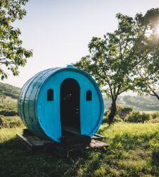 GO!2025, de jeunes artistes italiens et slovènes transforment des vignobles en un parc d'art permanent