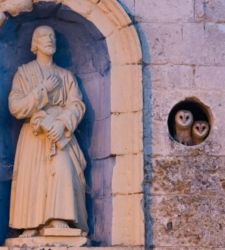 Der Vogelfotograf des Jahres debütiert in Italien in der Festung von Bard