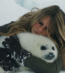 Farewell to Brigitte Bardot: the iconic French film actress and activist passed away at age 91