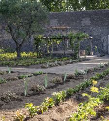 Pompéi, inauguration de la maison-jardin d'Hercule. Reconstruction philologique du jardin