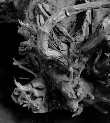 Pompeii Threnody: la mostra di Cerith Wyn Evans all’Antiquarium di Boscoreale
