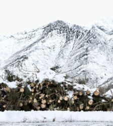 Francesco Jodice racconta il legame tra fabbrica, natura e comunità per Fondazione Zegna