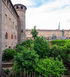Jardins et parcs de Turin : un parcours botanique au Palazzo Madama et dans d'autres jardins