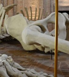 Foligno y Spoleto, finalistas para la Capital Italiana del Arte Contemporáneo 2027