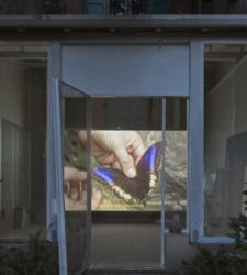 Bolonia, en el jardín del Palazzo Bentivoglio, la película ΊΚΑΡΟΣ de Andreotta Calò y la obra inédita de Ericailcane