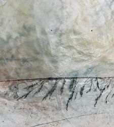 Disgelo: la nuova personale di Gregorio Botta alla galleria Atipografia
