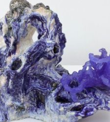 Contamination and wonder: a dialogue between the Koelliker and Scarzella collections in Milan