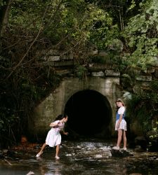 Gallerie d'Italia: photography, the Napoleonic age and women in Spanish Naples in upcoming exhibitions  