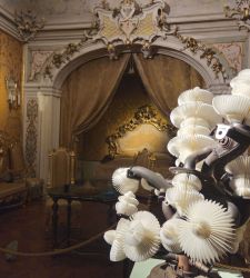 Quand les débris fleurissent. Miyazaki transforme Imola en un jardin suspendu dans le temps