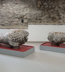 Corciano lions leave village after seven centuries for historic restoration