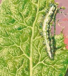 Eine Ausstellung über Magritte und die surrealistische Bewegung in Belgien im KMSKA in Antwerpen