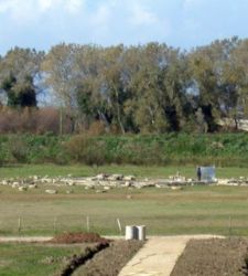 Hera Sanctuary on the Sele River reopens with new archaeological trail