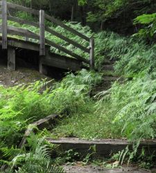 Incuria al Parco Archeologico di Sellero, risponde il Comune: a breve via ai lavori