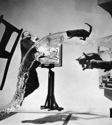 Philippe Halsmans Genieblitze in Piove di Sacco (Padua) zu sehen